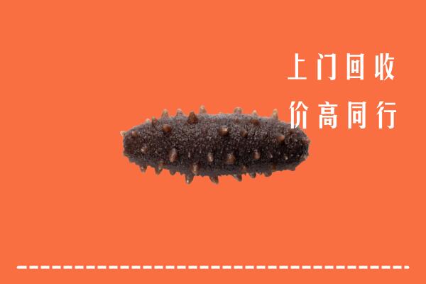 高价求购：津市市回收海参
