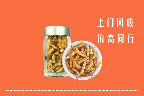 津市市回收冬虫夏草
