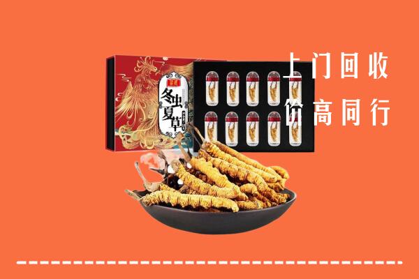 津市市回收虫草